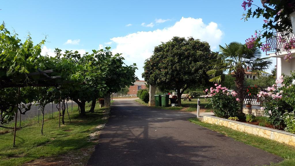 Samanta Novigrad (Istria)
